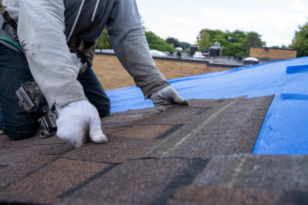 Best Sheet Metal Roofing  in Chatmoss, VA